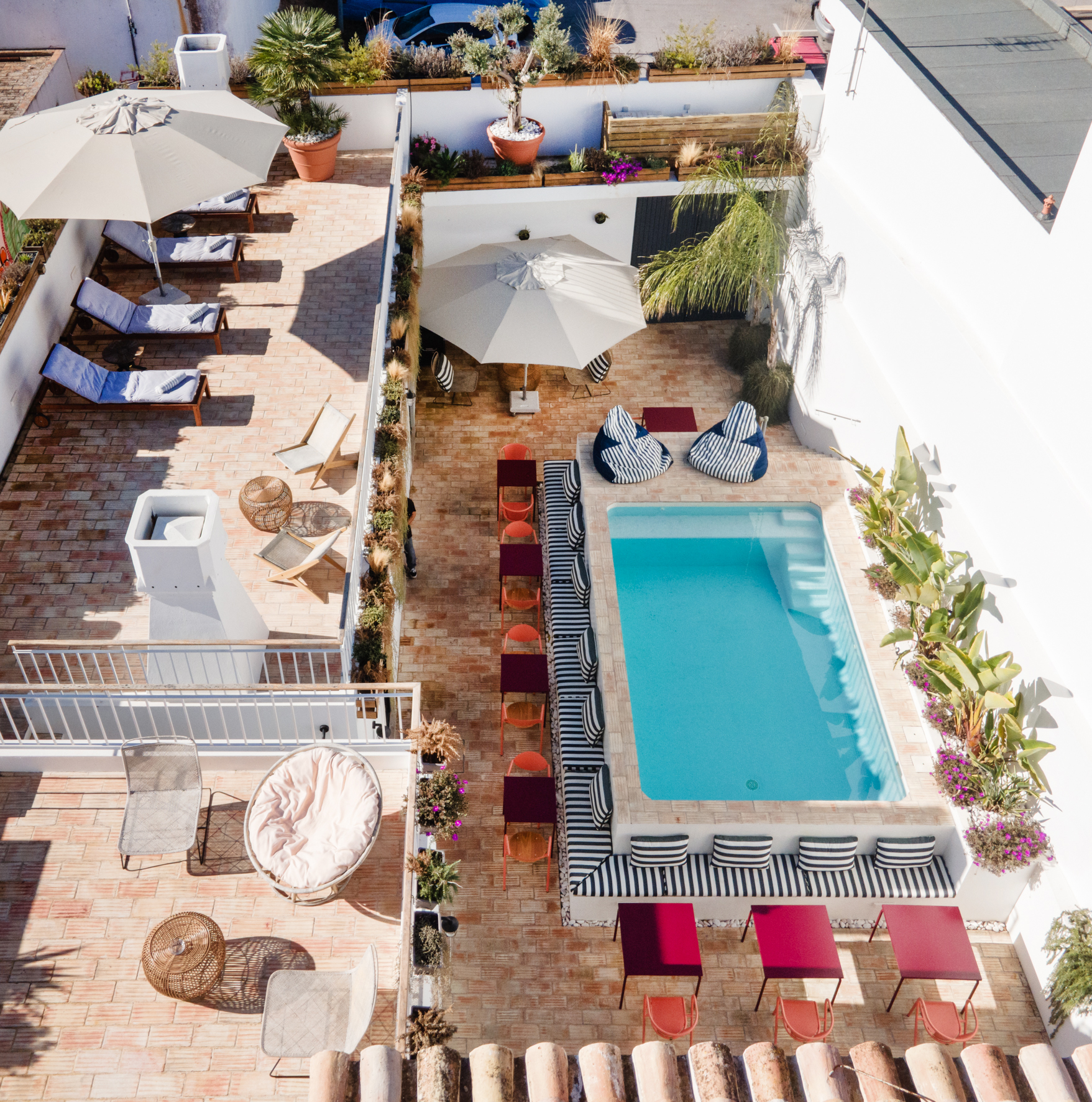 Meet your Host:   Pomar in Algarve